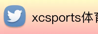 xcsports体育网页 Logo